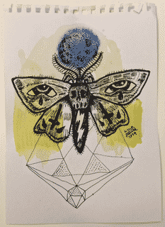 moth-7-2014-poor-quality-photo
